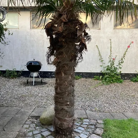 度假居 Strandhuset Broager